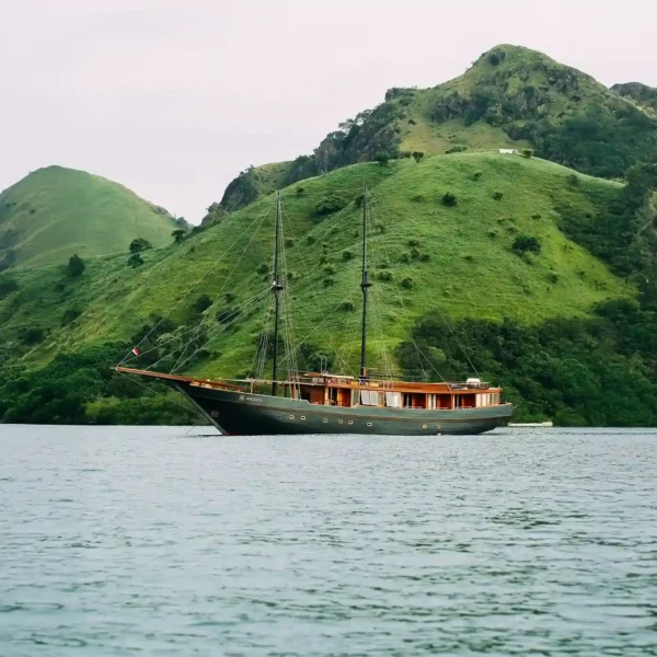 Angelica Phinisi | Private Trip Komodo | Open Trip Komodo | KomodoLuxury