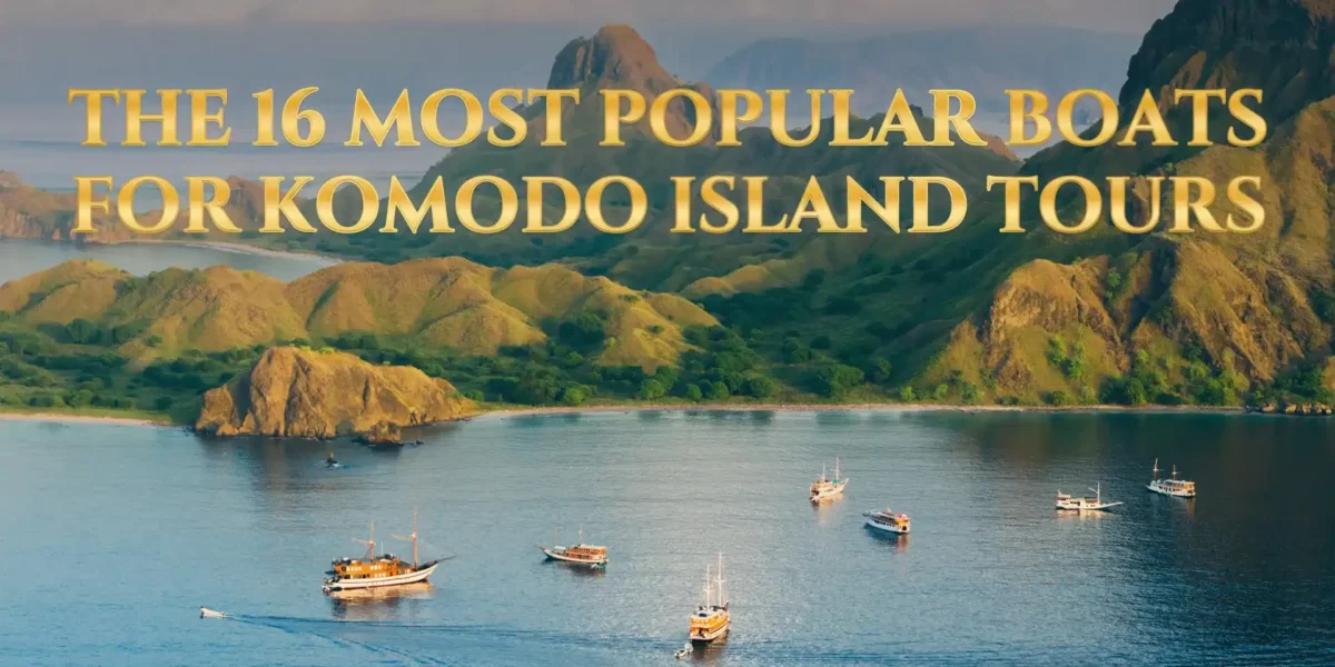 The Most Popular Boats for Komodo Island Tours | Komodo Luxury