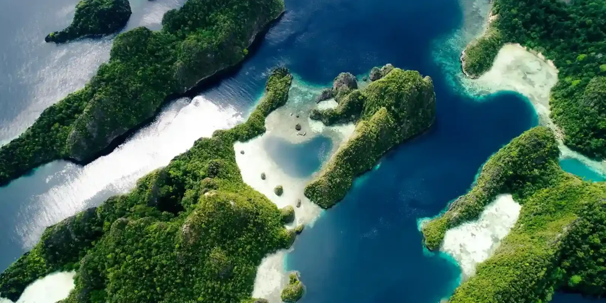 Dafalen Misool Raja Ampat | Komodo Luxury