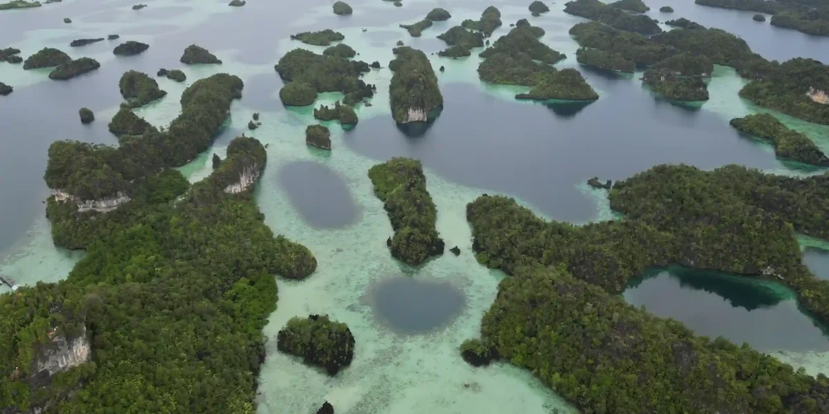 How to Get to Misool | Komodo Luxury