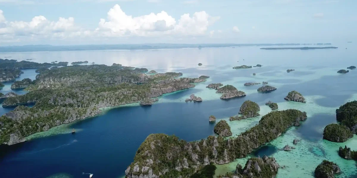 Best Time to Visit Misool Raja Ampat | Komodo Luxury