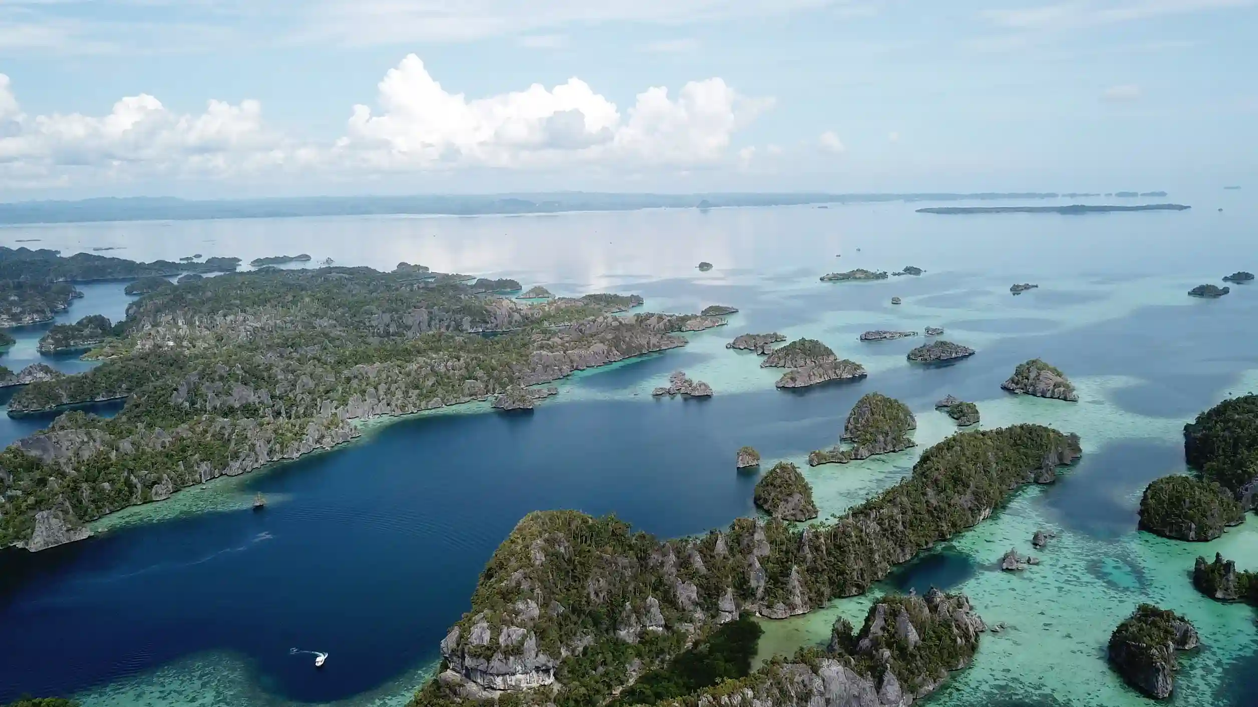 Best Time to Visit Misool Raja Ampat | Komodo Luxury