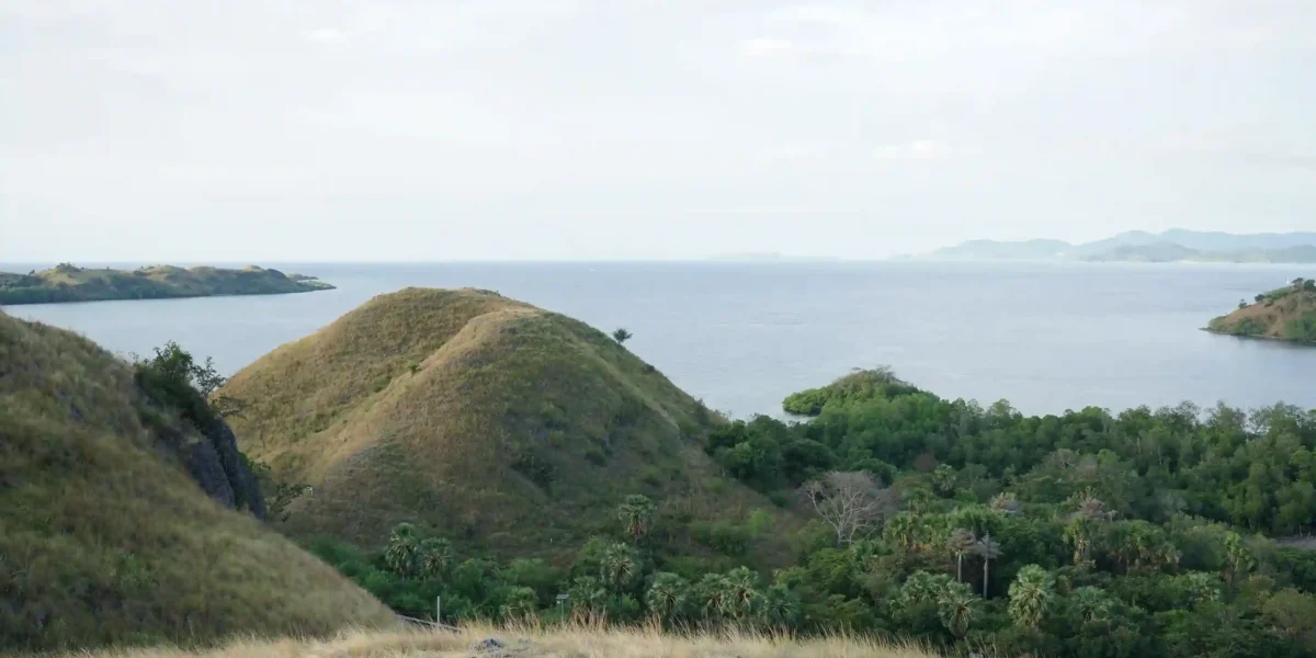 Sylvia Hill | Top Destination Overland Labuan Bajo | Luxury transport Komodo | Komodo Luxury