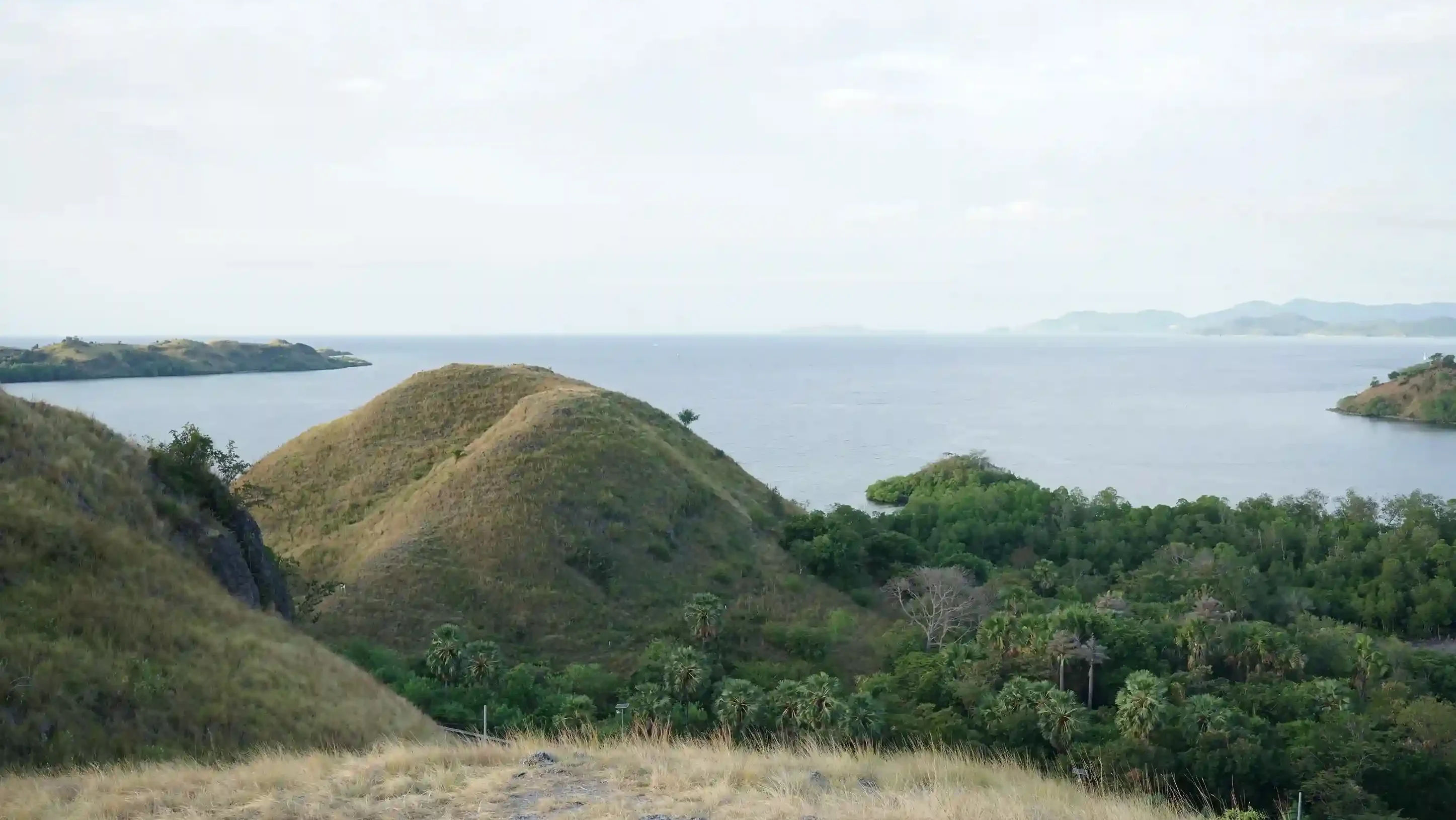 Sylvia Hill | Top Destination Overland Labuan Bajo | Luxury transport Komodo | Komodo Luxury