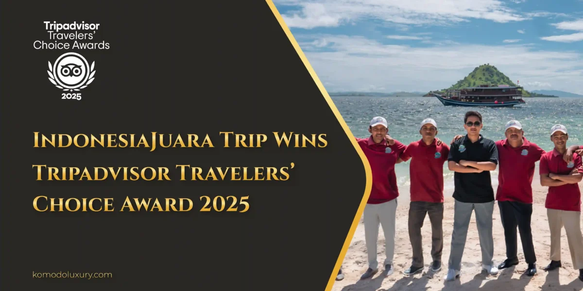 Featured Image - IndonesiaJuaraTrip Wins Tripadvisor travelers' choice award 2025 | Komodo Luxury