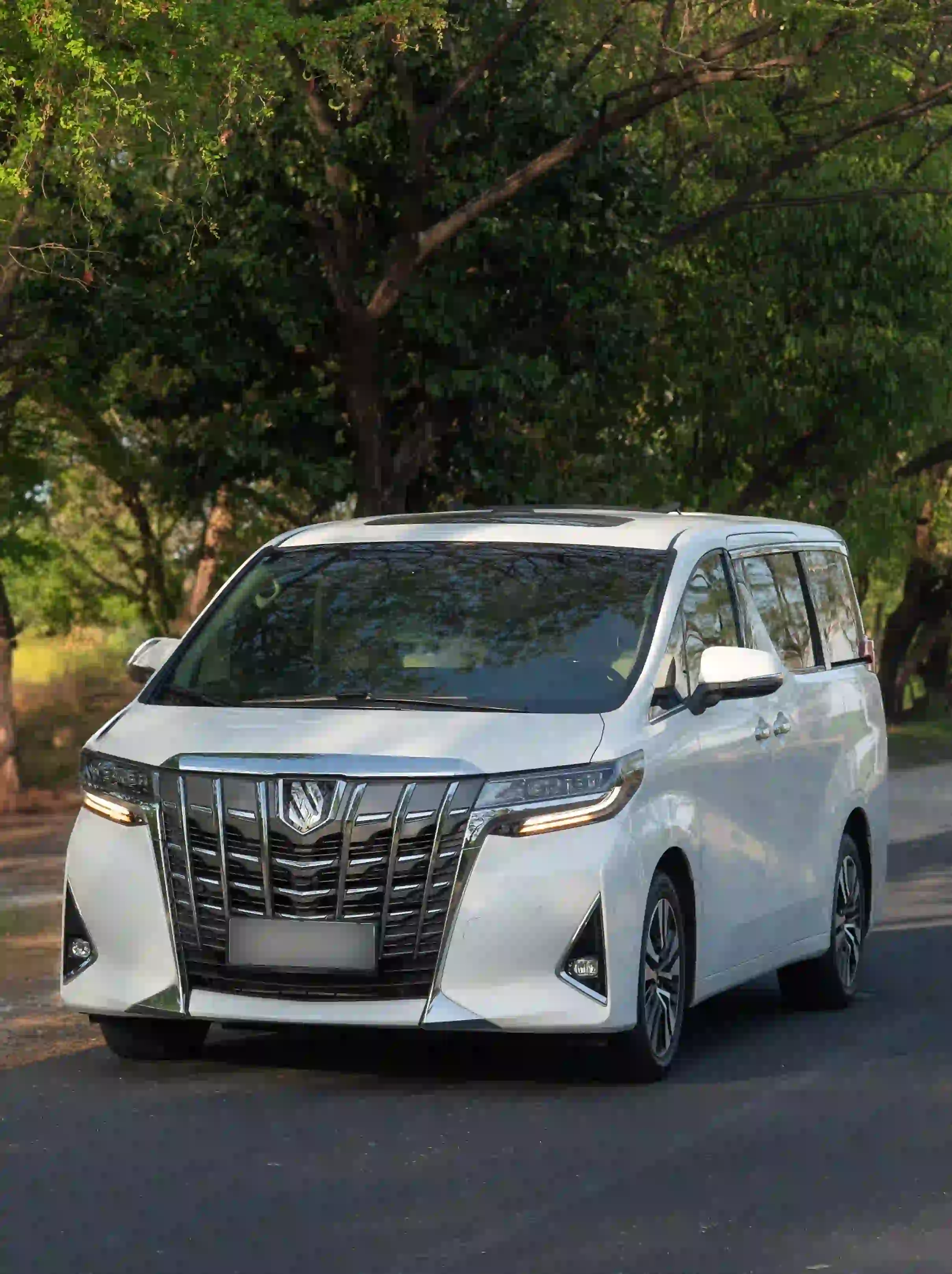 Alphard Rent Car Komodo | Luxury Transport | Komodo Luxury