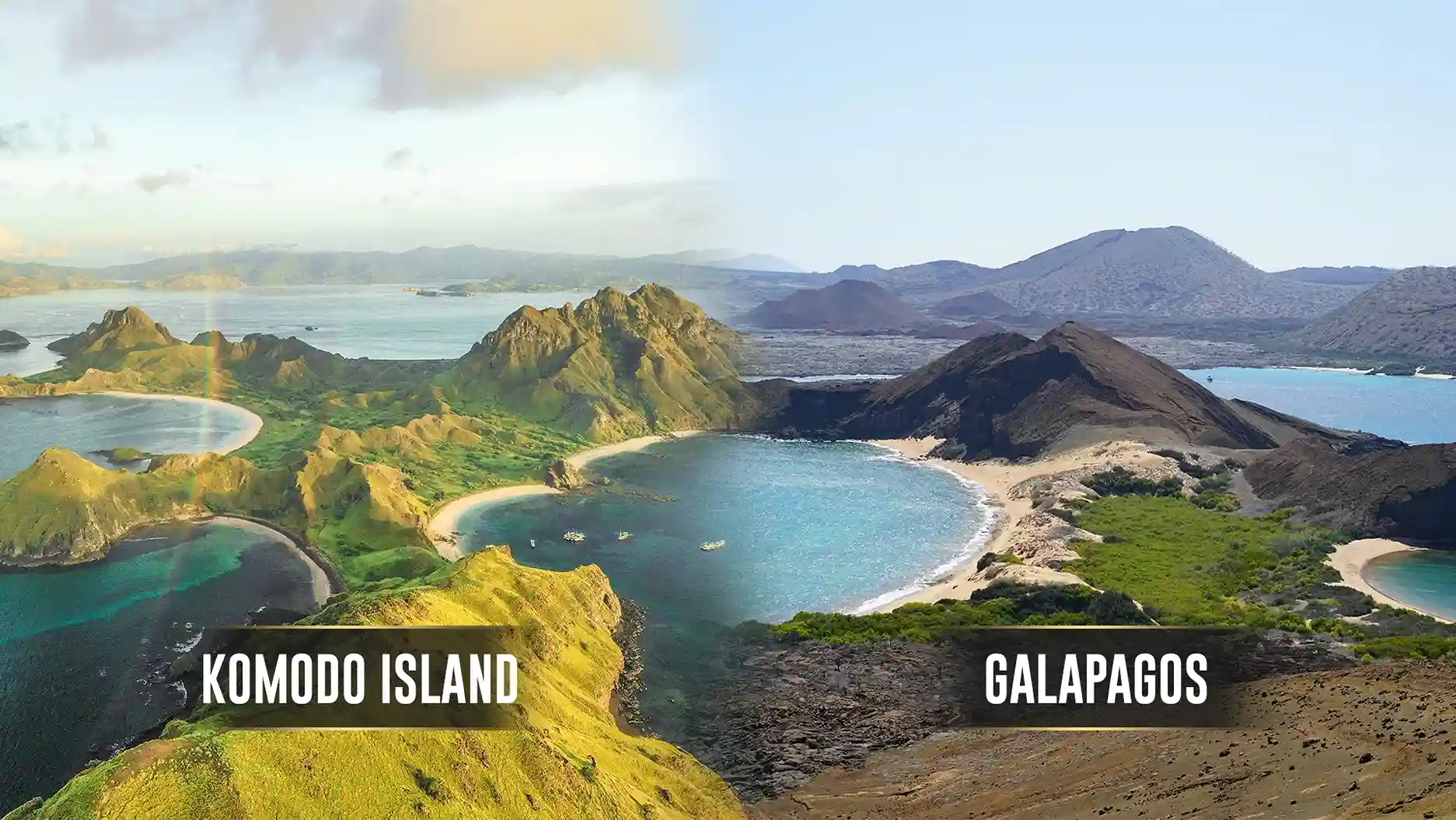 Komodo Island vs Galapagos | Komodo Island Tour | Komodo Luxury