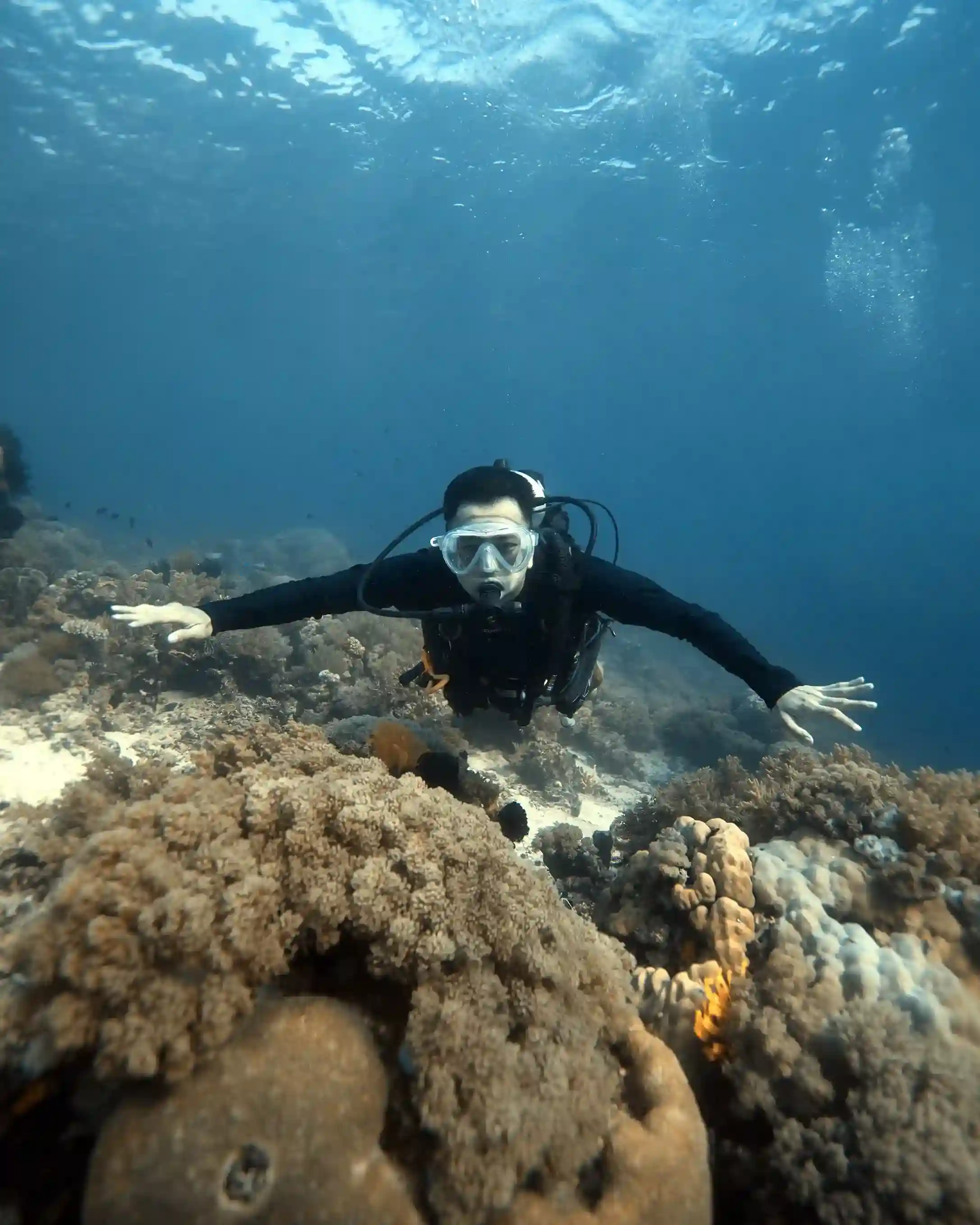 Komodo Diving Trip | Komodo Luxury