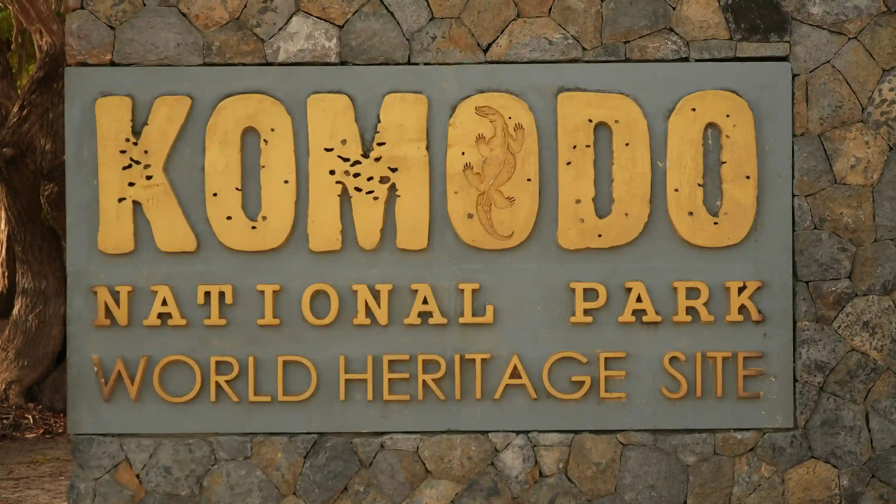 Komodo Island | Komodo National Park | Komodo Island Tour | Komodo Luxury