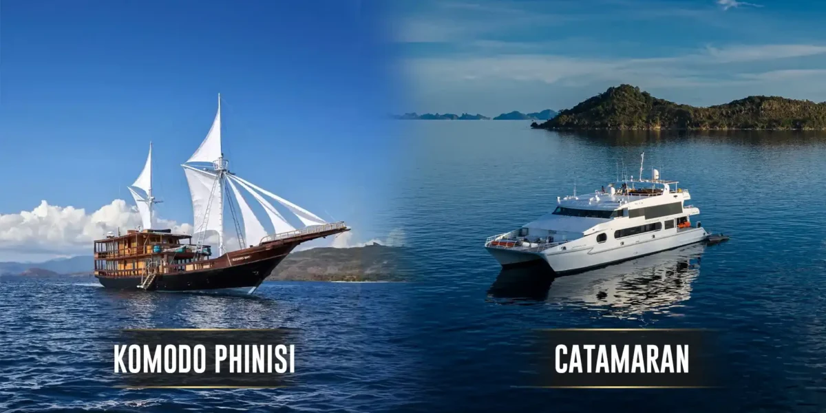 Komodo Phinisi vs Catamaran | Komodo Luxury