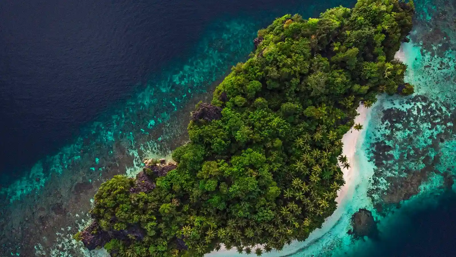 Raja Ampat Islands | Raja Ampat Liveaboard | Komodo Luxury