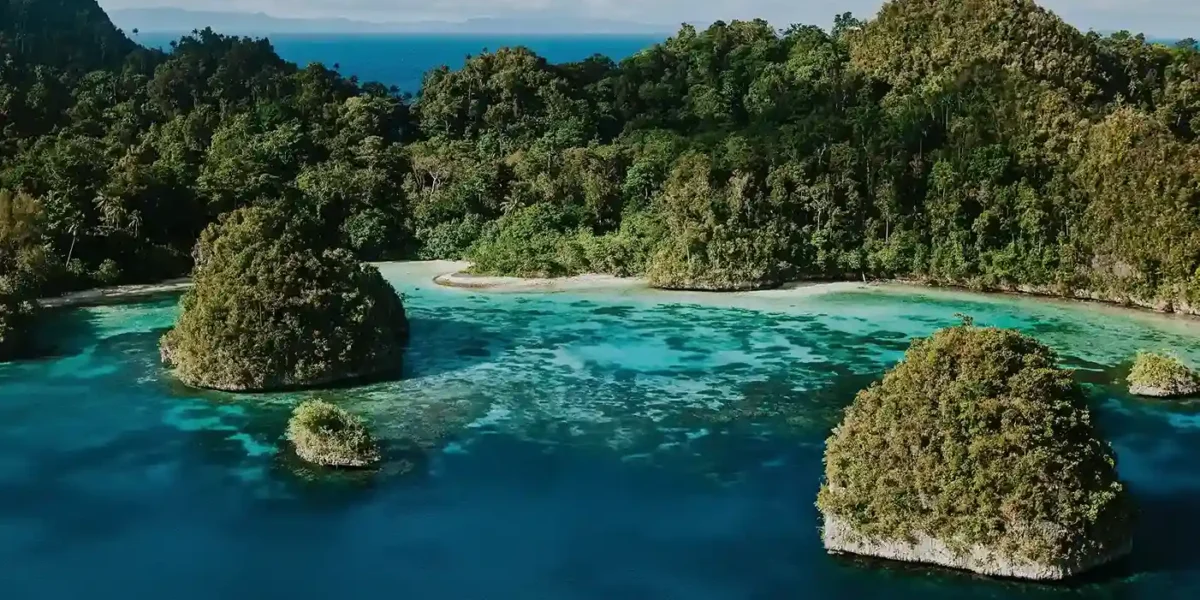 Raja Ampat | Raja Ampat Liveaboard | Komodo Luxury