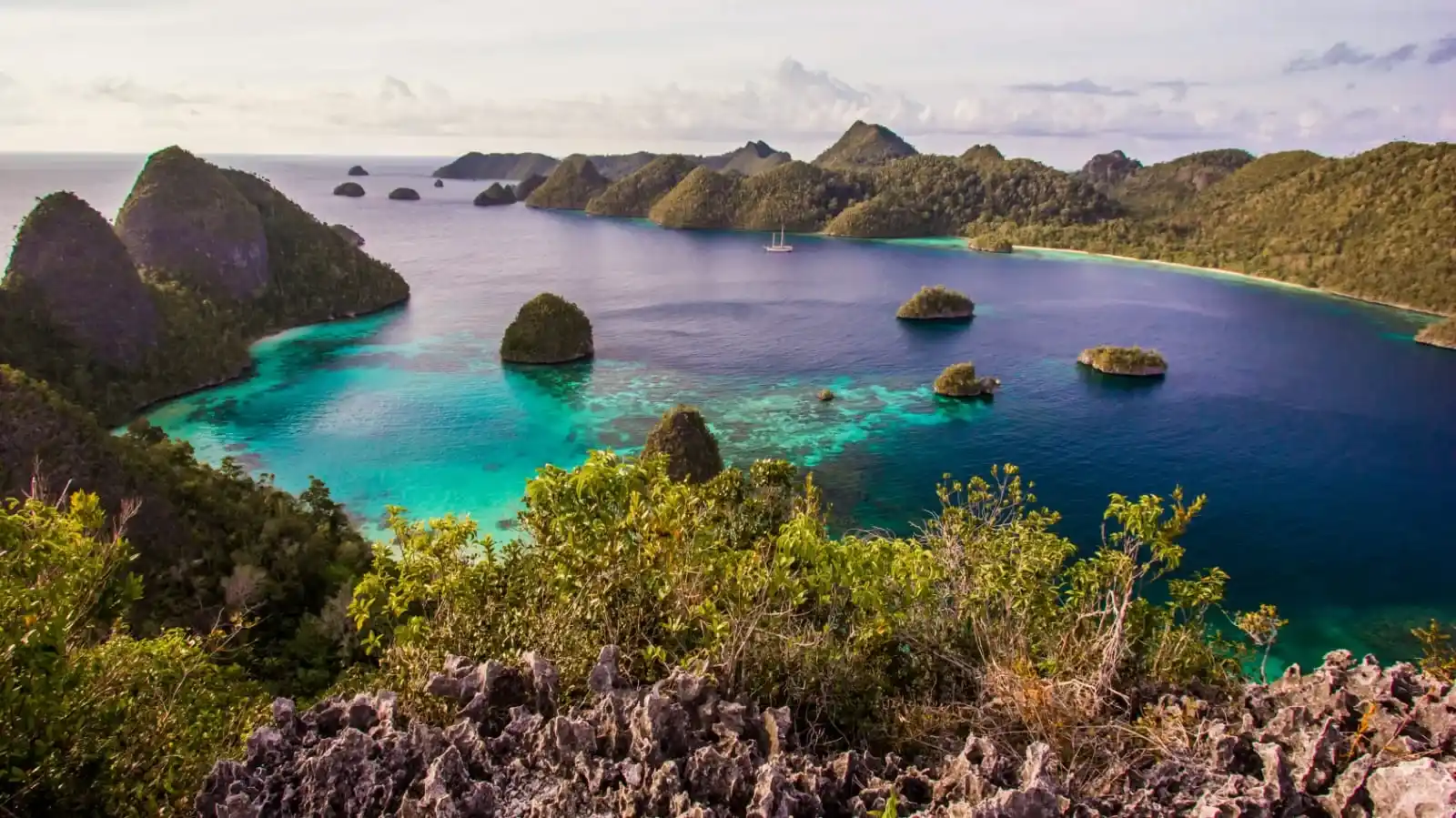 Raja Ampat | Raja Ampat Liveaboard | Komodo Luxury