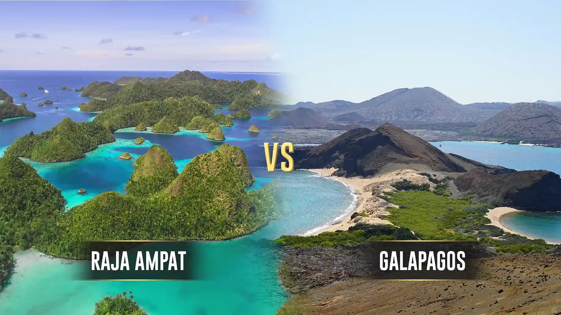 Raja Ampat vs Galapagos | Komodo Luxury