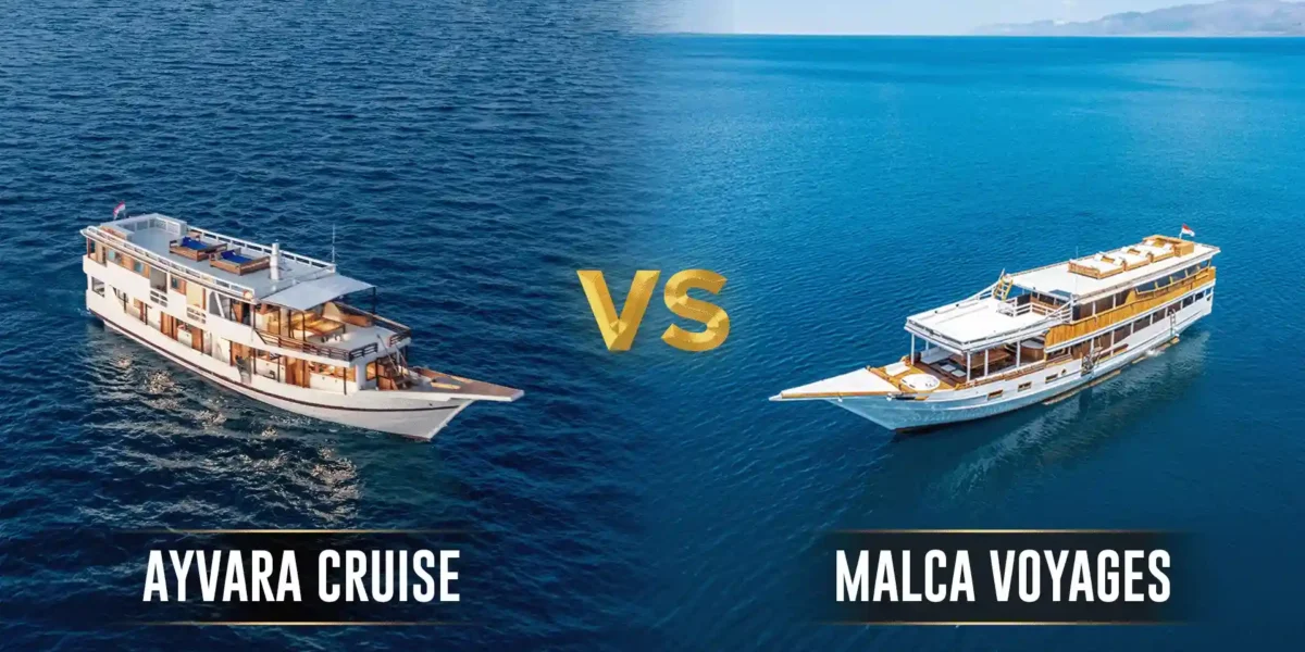 Ayvara Cruise vs Malca Voyages | Komodo Island Tour | Komodo Luxury