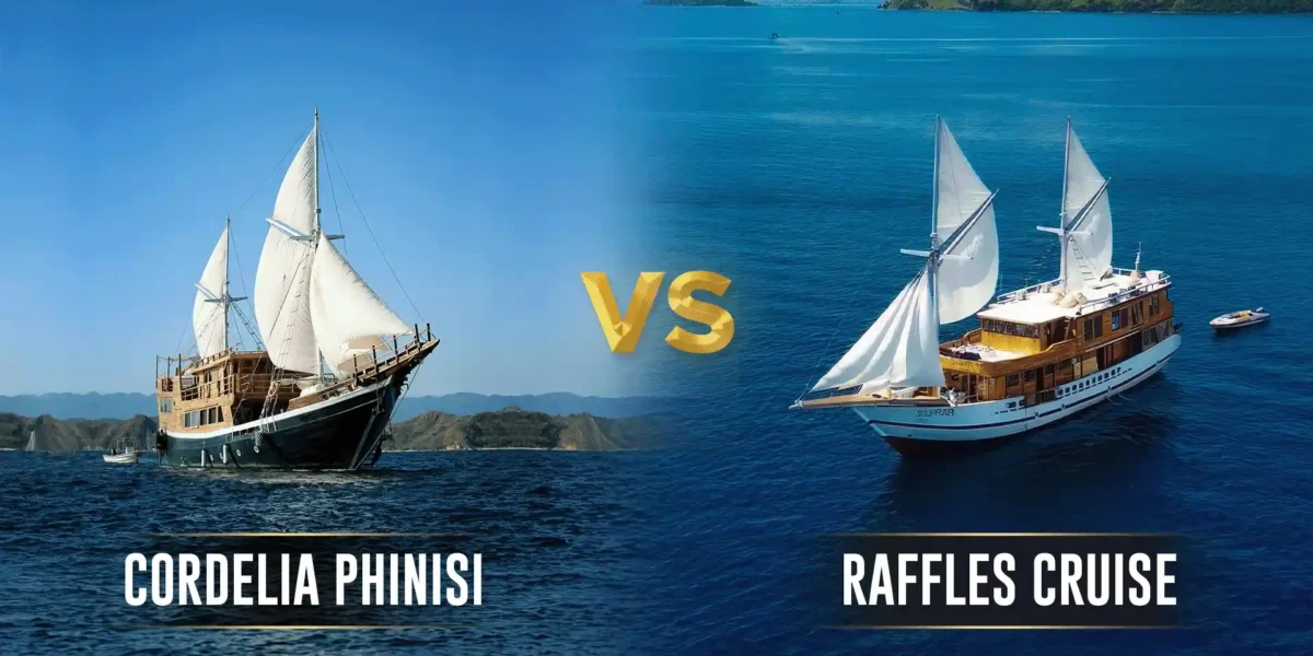 Cordelia Phinisi vs Raffles Cruise | Komodo Island Tour | Komodo Luxury