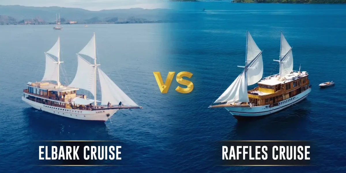 Elbark Cruise vs Raffles Cruise | Komodo Island Tour | Komodo Luxury