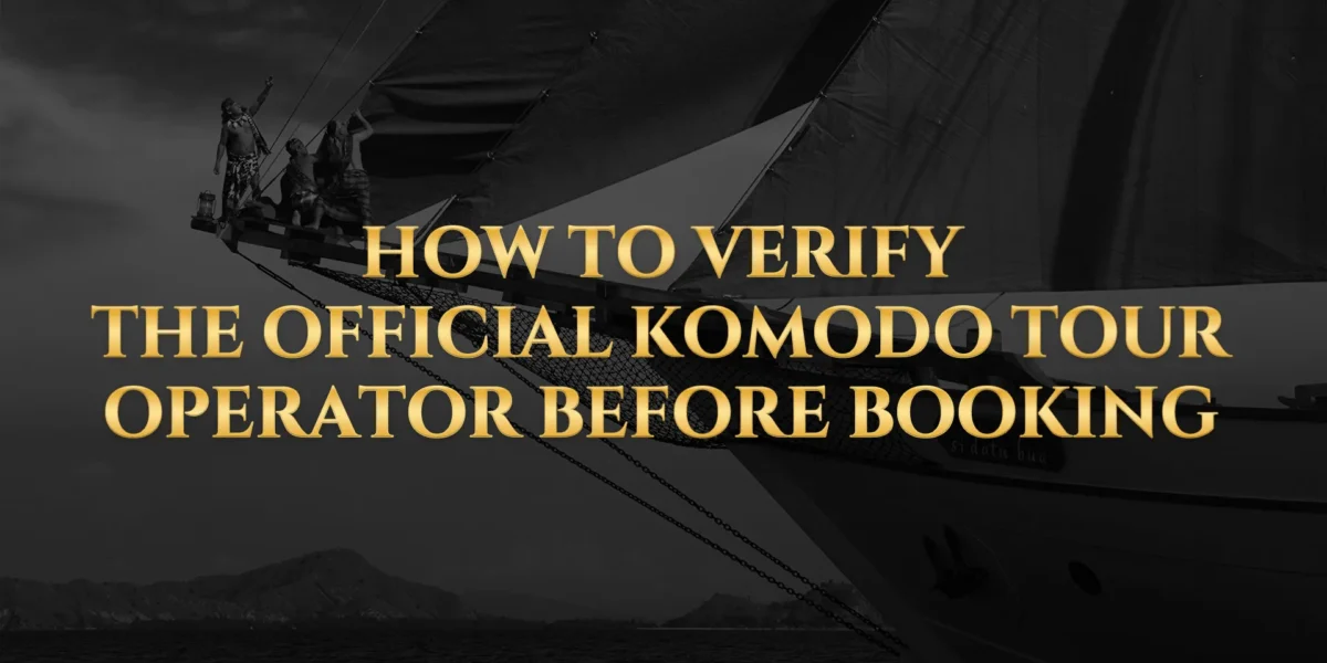 How to Verify the Official Komodo Tour Operator Before Booking | Komodo Luxury