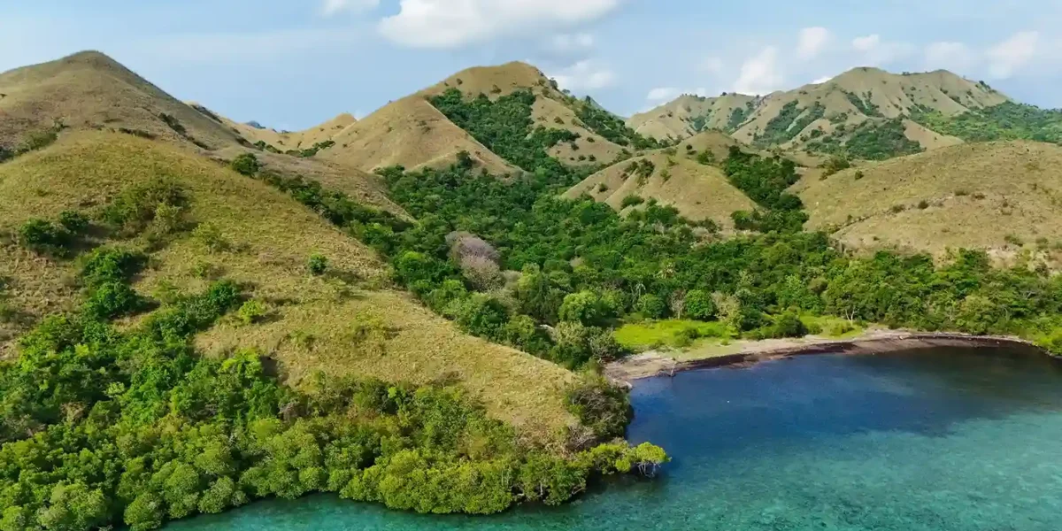 Komodo Island | Komodo Luxury
