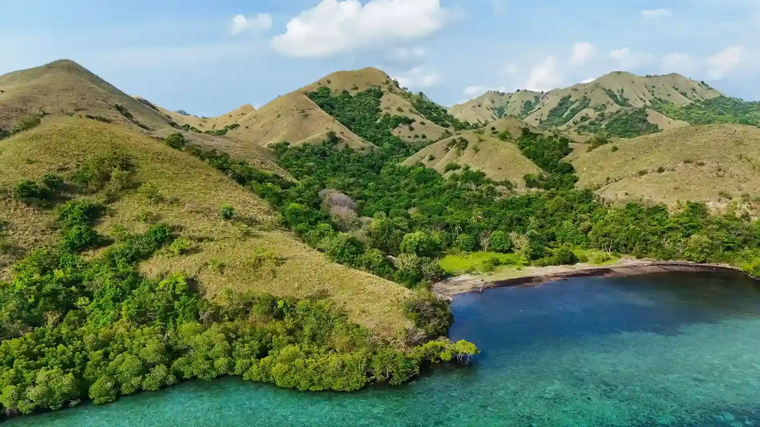 Komodo Island | Komodo Luxury